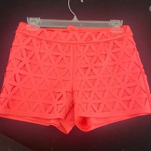 Lilly polyester/ spandex dress shorts